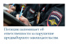 Обеспечение правопорядка в период выборов и ответственность за правонарушения